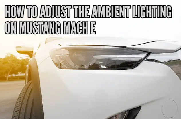 How to adjust the ambient lighting on Mustang Mach E